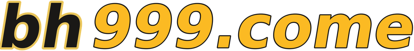bh999.come logo